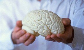 Витамины не дают мозгу усохнуть | Фото: Getty Images