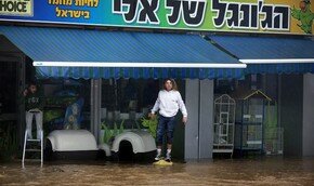 Вода все спишет | Фото: AFP