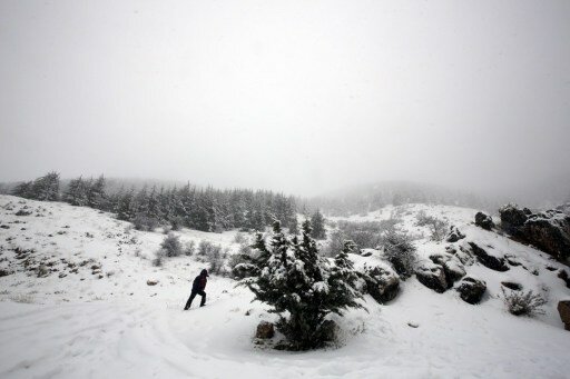 Ливан и Сирию завалило снегом | Фото: AFP