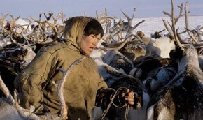 Найдены гены морозоустойчивости | Фото: Thinkstock