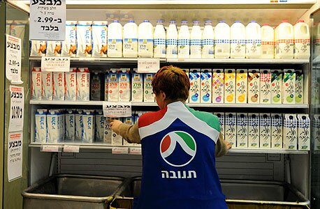 Еще одна попытка реформировать молочную отрасль Израиля? 