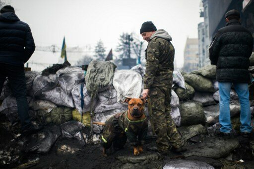 Вторая волна украинских протестов будет намного масштабнее | Фото: AFP