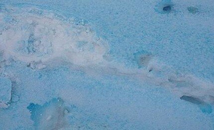 twitter.com 