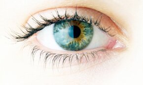 Создана искусственная сетчатка глаза | Фото: Thinkstock
