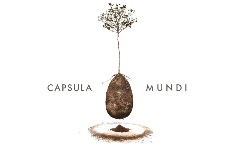 capsulamundi.it 