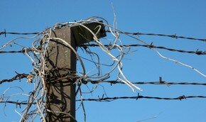 Две страны, одно чувство | Фото: Thinkstock
