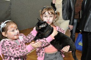 Израиль представляет: кошки-спортсмены и кошки-врачи | Фото: AFP