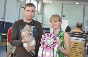 Израиль представляет: кошки-спортсмены и кошки-врачи | Фото: AFP