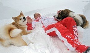 Путинские собаки | Фото: AFP