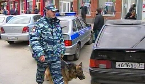 Стрельба в цкнтре Белгорода: шестеро убитых 