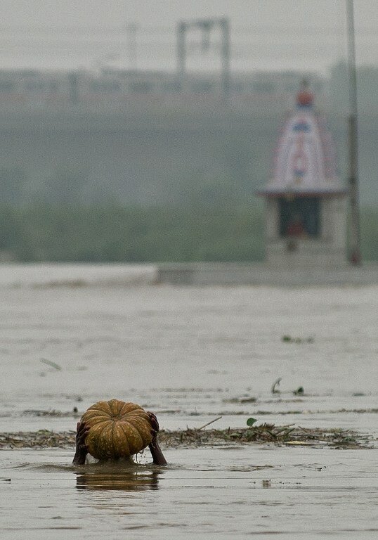 Индия поплыла | Фото: AFP