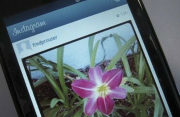 Фотосервис Instagram расширил свои возможности | Фото: AFP