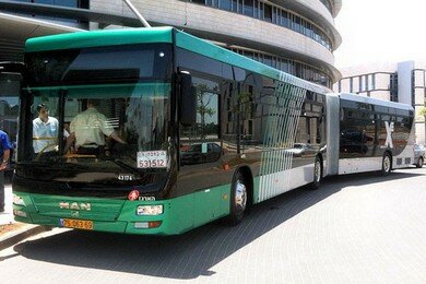 Израиль. С субботы: ночные автобусы каждую ночь все лето 