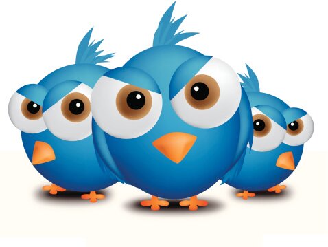Angry Birds прилетят на Канары | Фото: Thinkstock