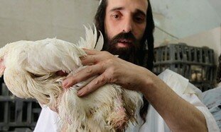 Польский премьер: запрет на шхиту не снимут 