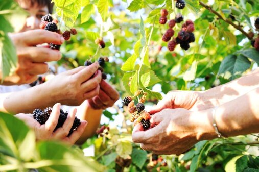 Польше не хватает украинских рабочих рук | Фото: Thinkstock