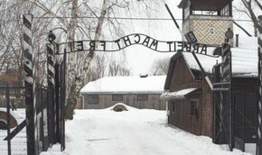  | Фото: AFP