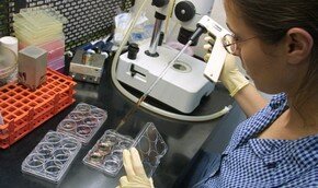 В России испытают новую вакцину против СПИДа | Фото: Getty Images