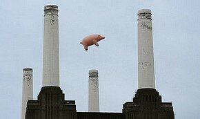 Pink Floyd снова запустил свинью | Фото: Getty Images