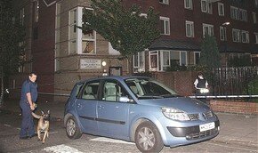 В Лондоне расстреляли трех девушек 