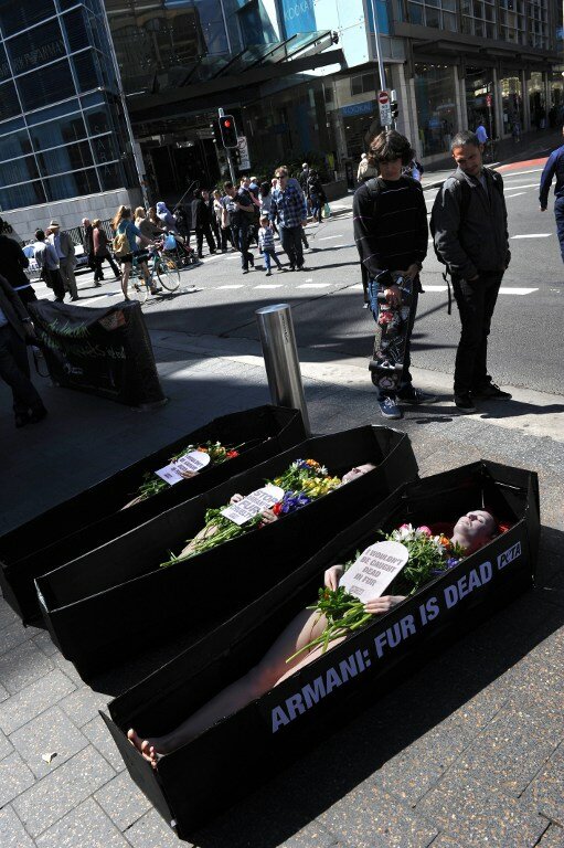 Спасая зверей от Армани активистки разделись и легли в гроб | Фото: AFP