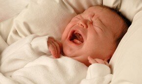 `Бэби-бум` на севере Израиля | Фото: Thinkstock