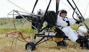 Журавли за Путиным не пошли 