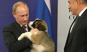 Путин нашел общее дело для граждан России 