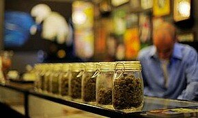 Нидерланды хотят запретить продажу марихуаны | Фото: Getty Images