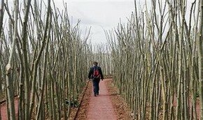 iPhone представил социальную сеть в картинках | Фото: Getty Images