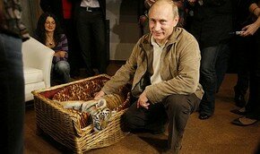 Ди Каприо не довез до Путина 2 миллиона долларов 