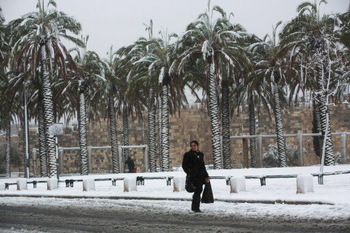 Израиль: Ущерб от бури - 420 миллионов шекелей | Фото: AFP