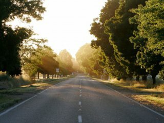 Новинка: сырный раствор как реагент для дорог | Фото: Thinkstock